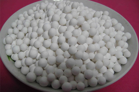 ���������X������